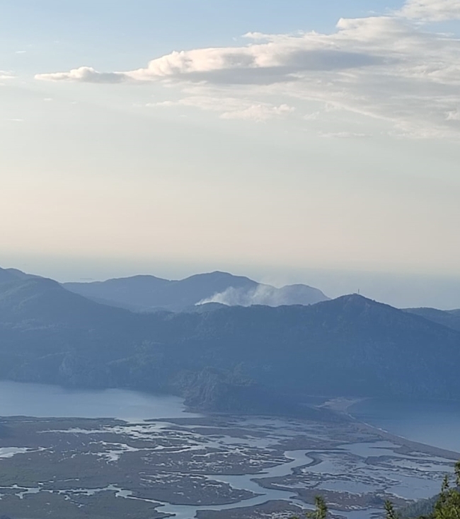 Muğla'da orman yangını: Havadan ve karadan müdahale ediliyor