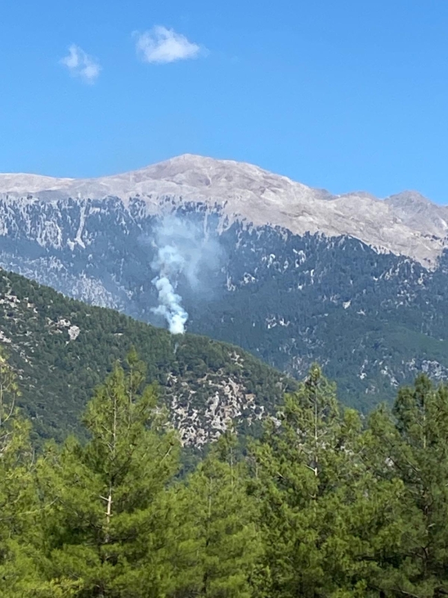 Fethiye'de orman yangını: Havadan ve karadan müdahale başlatıldı