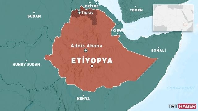 Etiyopya'da isyancı TPLF, ateşkes çağrısına olumlu yanıt verdi