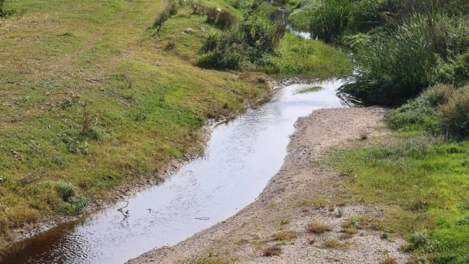 Balık ölümleri görülen Hasanağa Deresi'nden numune alındı