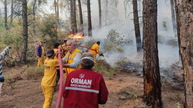 Burdur'da orman yangını