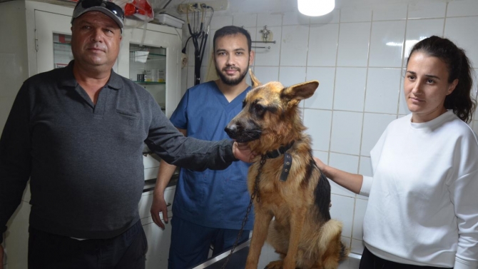 2,5 aydır kayıp köpeği mikroçip sayesinde buldular