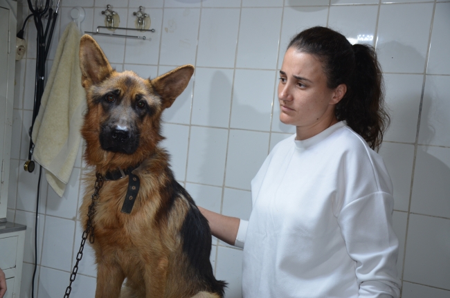 2,5 aydır kayıp köpeği mikroçip sayesinde buldular