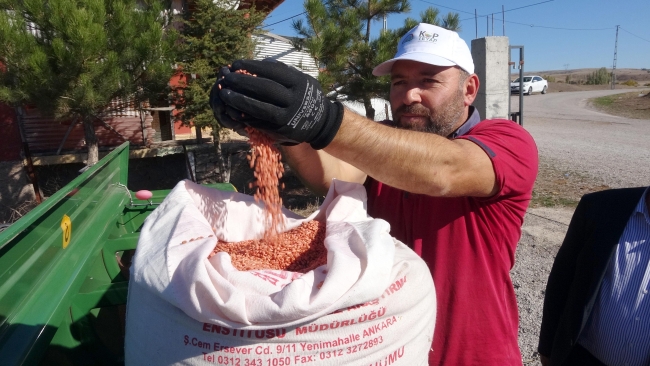 Yozgat’ta 3 milyon 500 bin dekar alana buğday ve arpa ekilecek