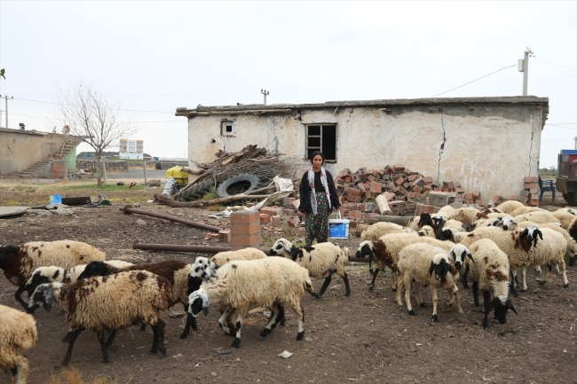 Kuyudan su çekerken keşfedildi bilek güreşinde bronz madalya kazandı