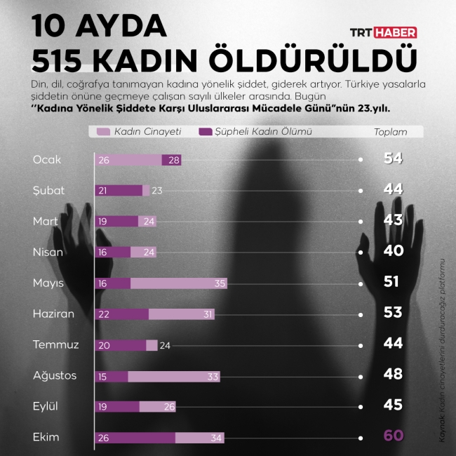 Kadına Yönelik Şiddete Karşı Uluslararası Mücadele Günü