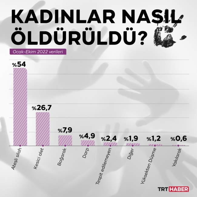 Kadına Yönelik Şiddete Karşı Uluslararası Mücadele Günü