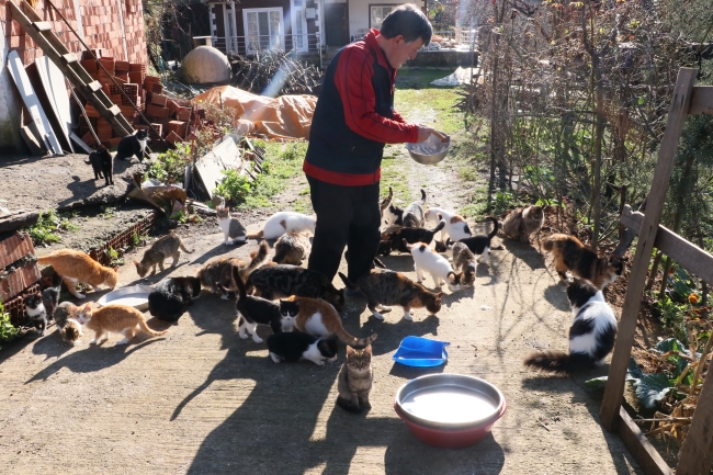 Çocuğu gibi gördüğü kediler için köyünden ayrılmıyor