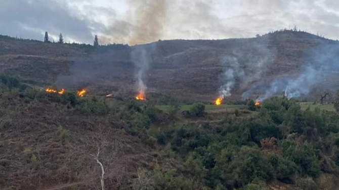 Kahramanmaraş'ta ormanı 17 yerden yaktığı iddiasıyla gözaltına alındı