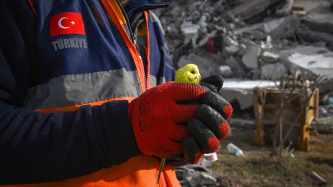 Depremin 5. gününde enkazdan 'Mucize' çıkarıldı