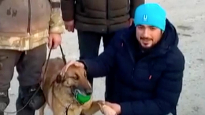 Arama-kurtarma köpeği Sıla enkazlardan 12 kişinin kurtarılmasını sağladı