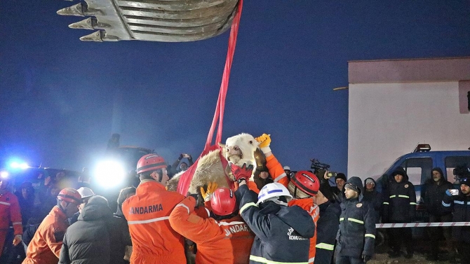 Adıyaman'da enkaz altındaki yaralı inek kurtarıldı