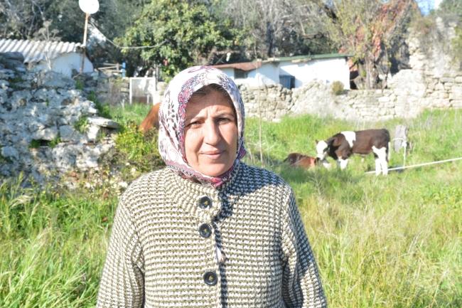 Adıyaman'da bir depremzede yerleştiği otele ineklerini de götürdü