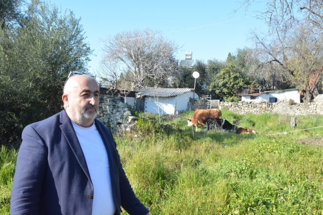 Adıyaman'da bir depremzede yerleştiği otele ineklerini de götürdü