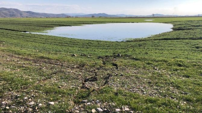 Deprem bölgesindeki yüzey kırıkları üzerinde su birikintileri oluştu