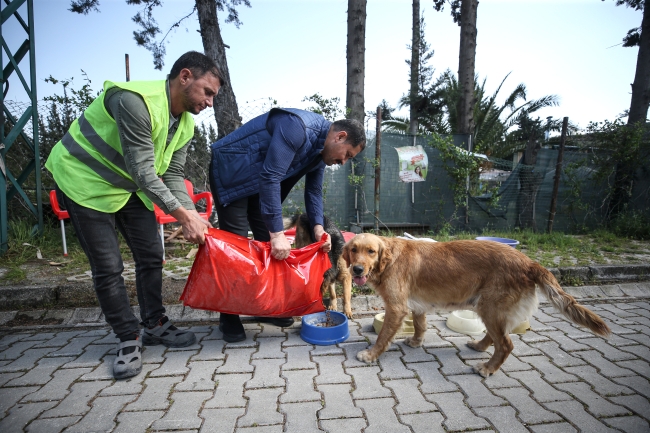 Hatay'daki hayvanlar için 55 ton mama desteği sağlandı