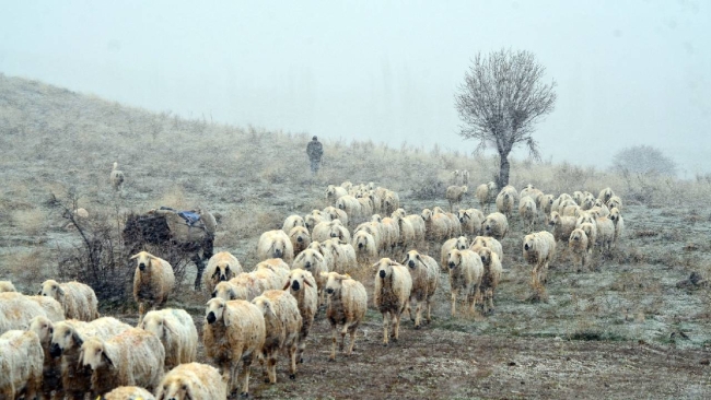 Aksaray'da kar yağışı sevindirdi