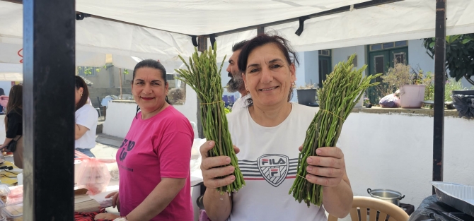 Akdeniz, 8. Ayrelli Festivali ile şenlendi